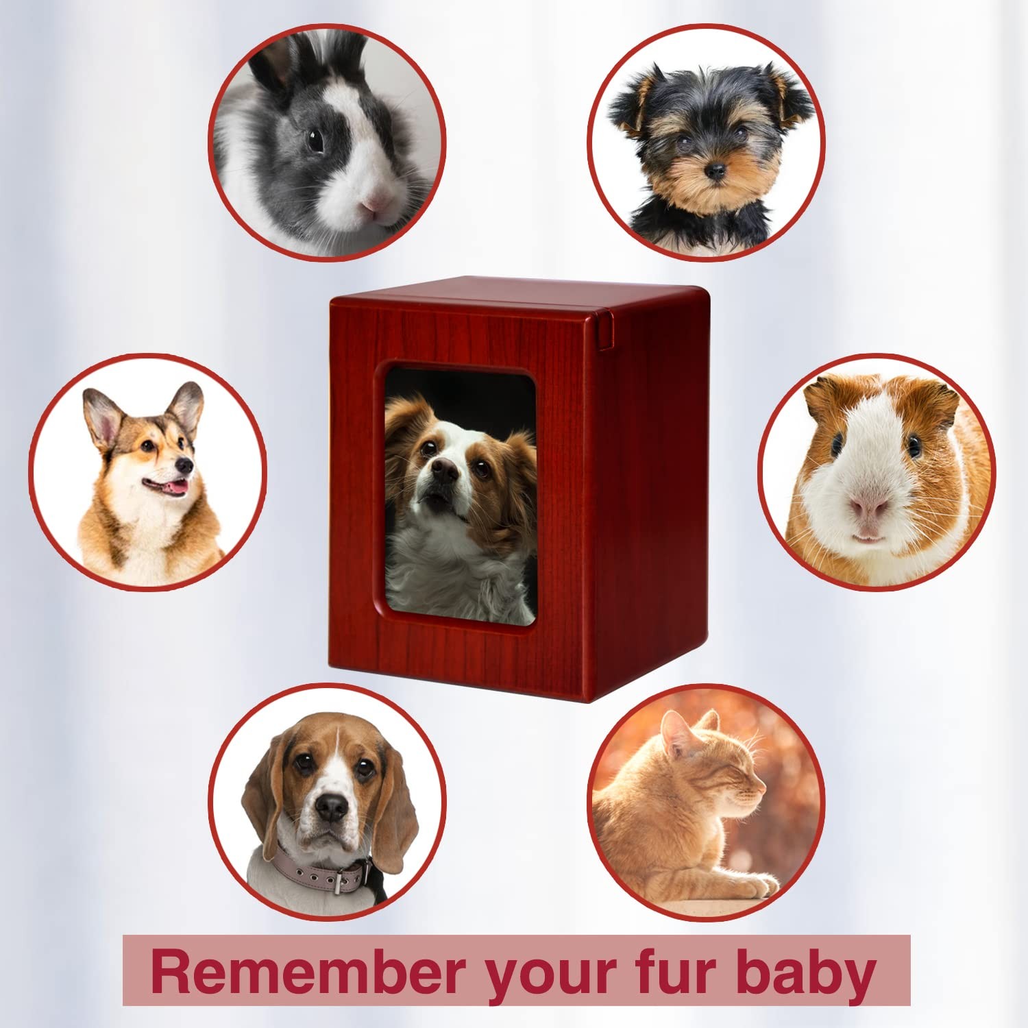 Red Small Pet Urns Dogs Ashes Photo Frame Cremation Box Memorial Storage
