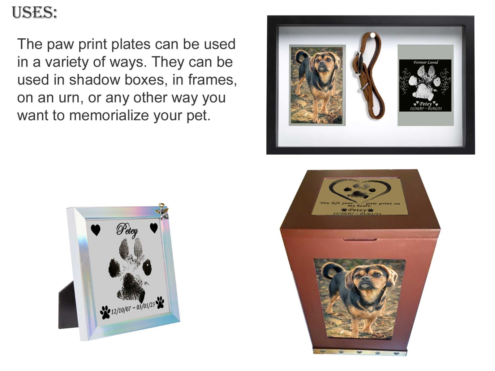 Custom Engraved Paw Print Plate, Your Pet’s Paw Print, Pet Loss Memorial Plaque