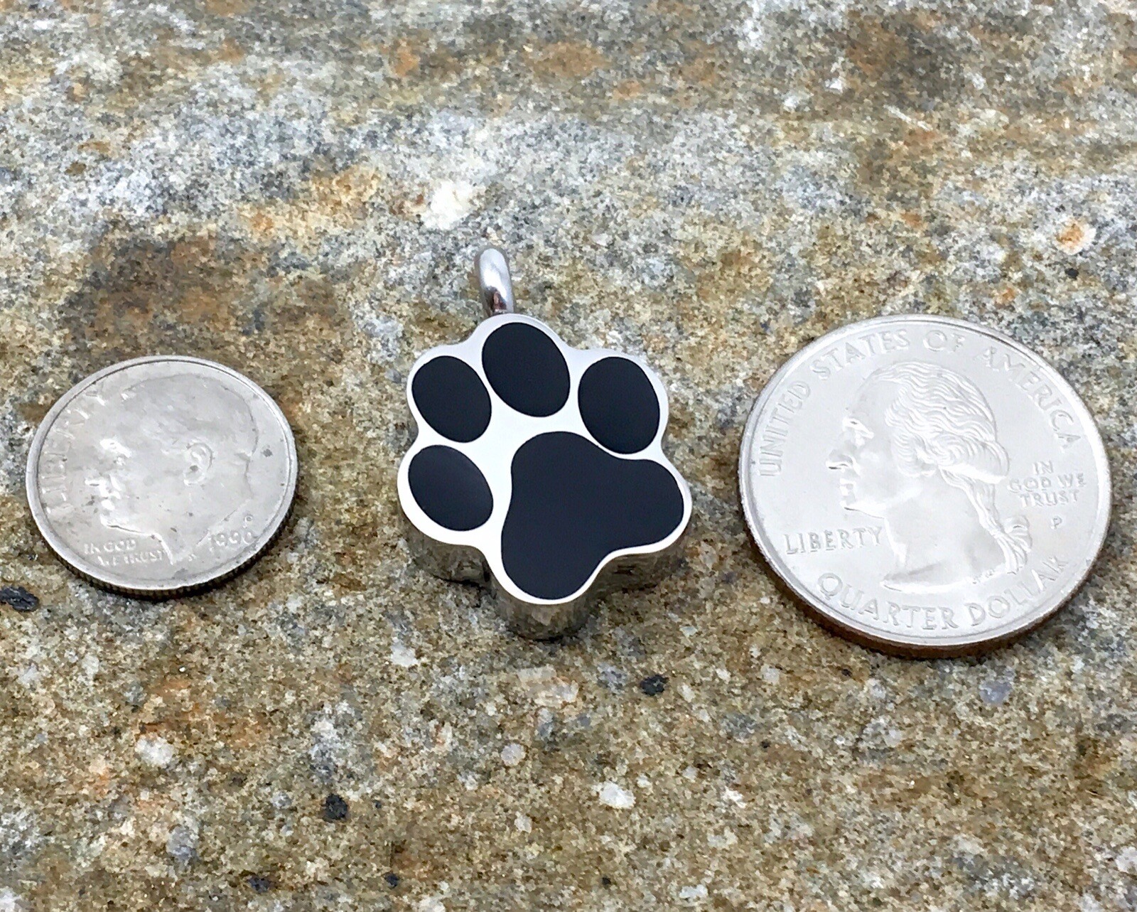 Pet Cremation Jewelry Necklace Pendant Urn Holds Ash Paw Print Dog Cat Memorial