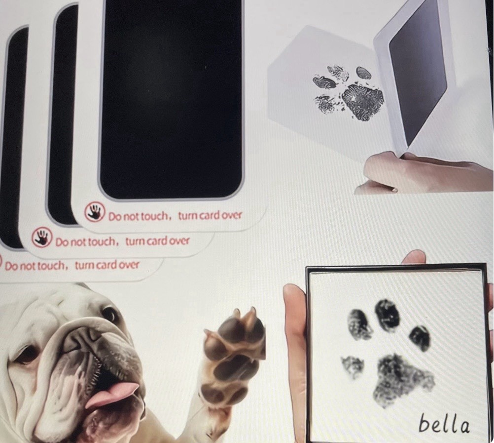 Print Kit: Clean Touch Ink Pad, Baby Or Pet ,2 Ink Pads, 4 ImpressionCards