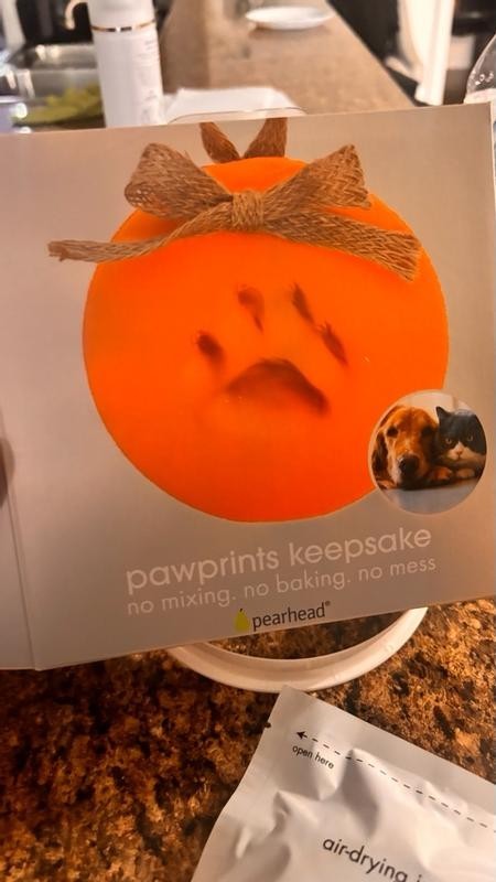 Pawprint Ornament Kit Pearhead Pet DIY Pawprints Keepsake Dogs Or Cats