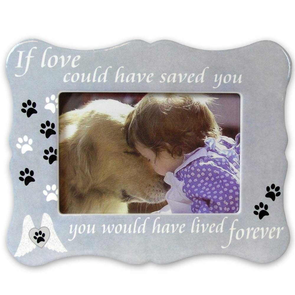 Pet Memorial Photo Frame If Love Could Have Saved You Pet Picture Frame #2366