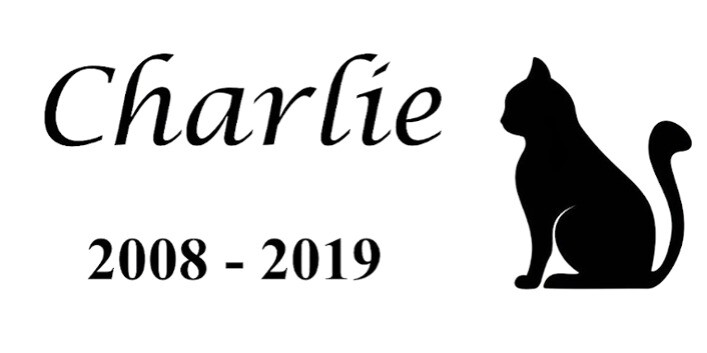 12 inch x 6 inch Pet Memorial Marble sign, Personalized Engraved Marble