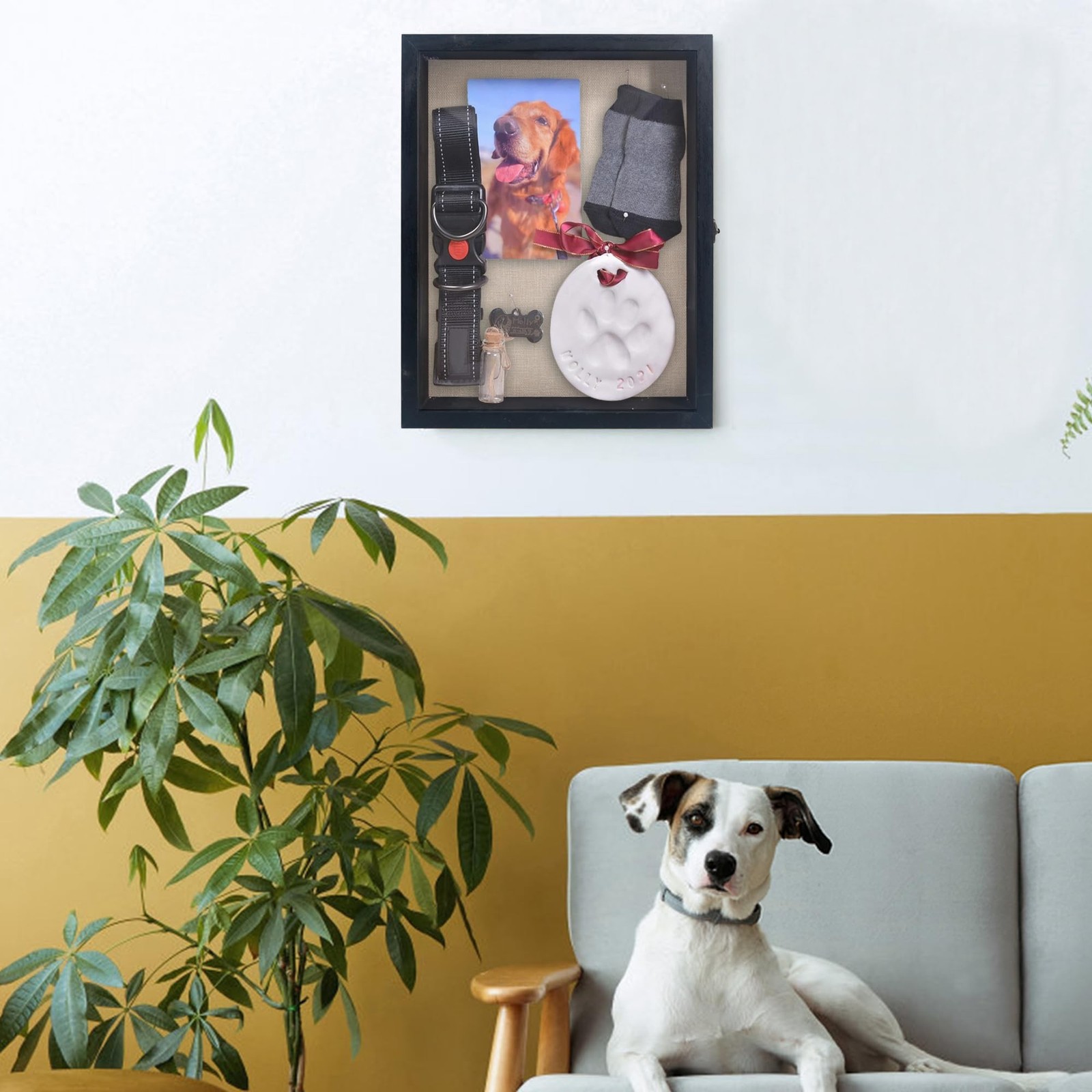 Pet Memorial Shadow Box 11×14, Pet Memorial Dispaly Case Picture Frame Dogs a…