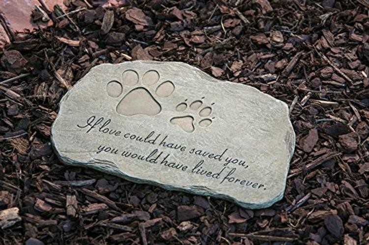 Pet Paw Print If Love Could Have Saved You Garden Memorial Stone | Outdoor