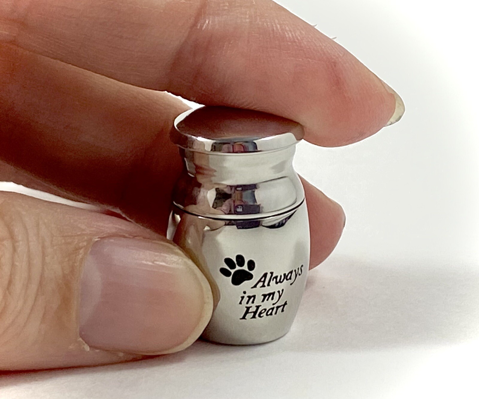 Pet Keepsake Urn Always in My Heart Paw Prints on Tiny Mini Dog Cat Sharing Gift