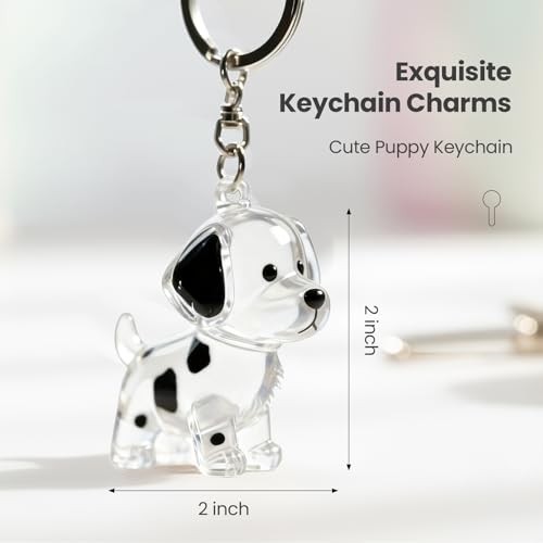 Dog Hair Keychain,Transparent Bottle for Fur,Dog Memorial Gifts for Loss,Pet