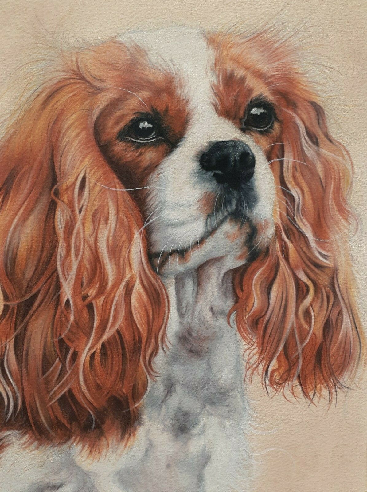 Pet Portrait A4 – Hand drawn, custom made, unique personalized gift