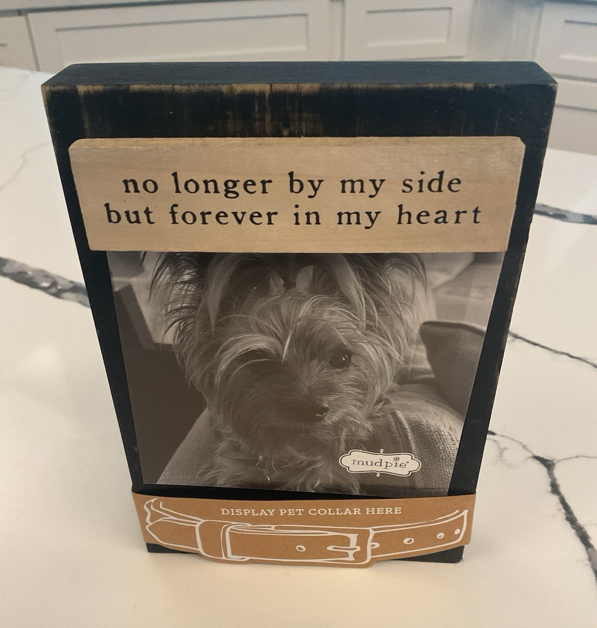 Mud Pie Black Collar Keepsake Frame Dog Pet Memorial Plaque Displays Collar