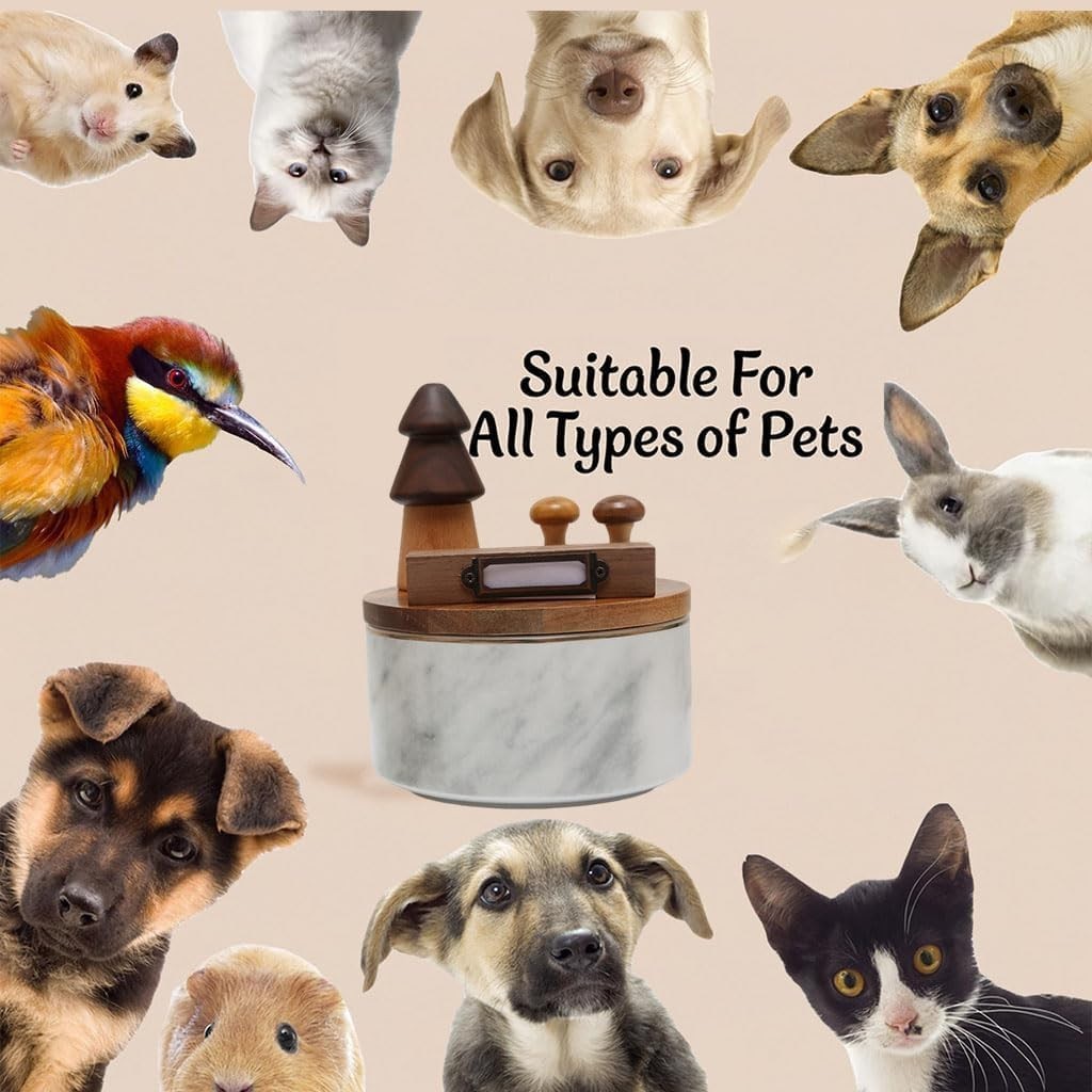 Ceramic & Wood Pet Urn for Ashes Small Dog Cat Memorial Keepsake Urn