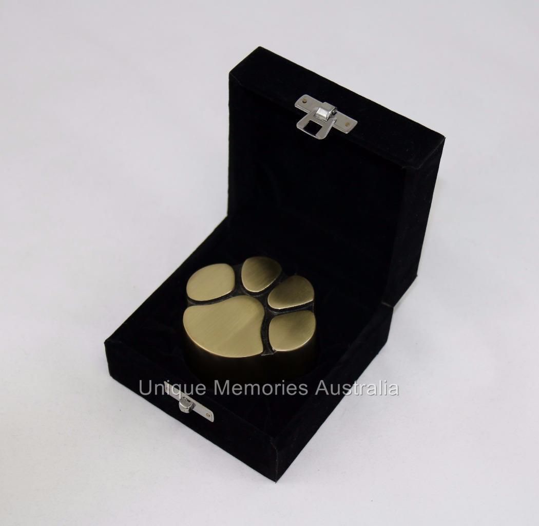 Solid Brass Bronze Cat & Dog Pet Paw Print Keepsake Cremation Funeral Urn + Case