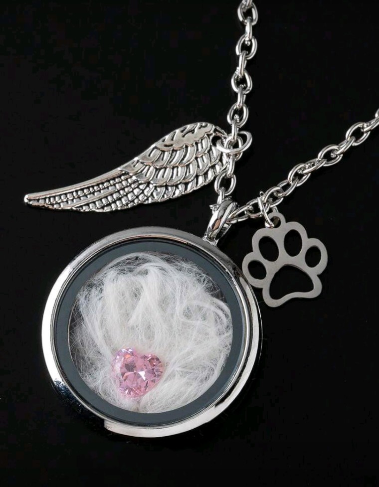 New Living Keepsake Hair Pendant Necklack Memorial Pet Cat Dog Wings Paw Charm