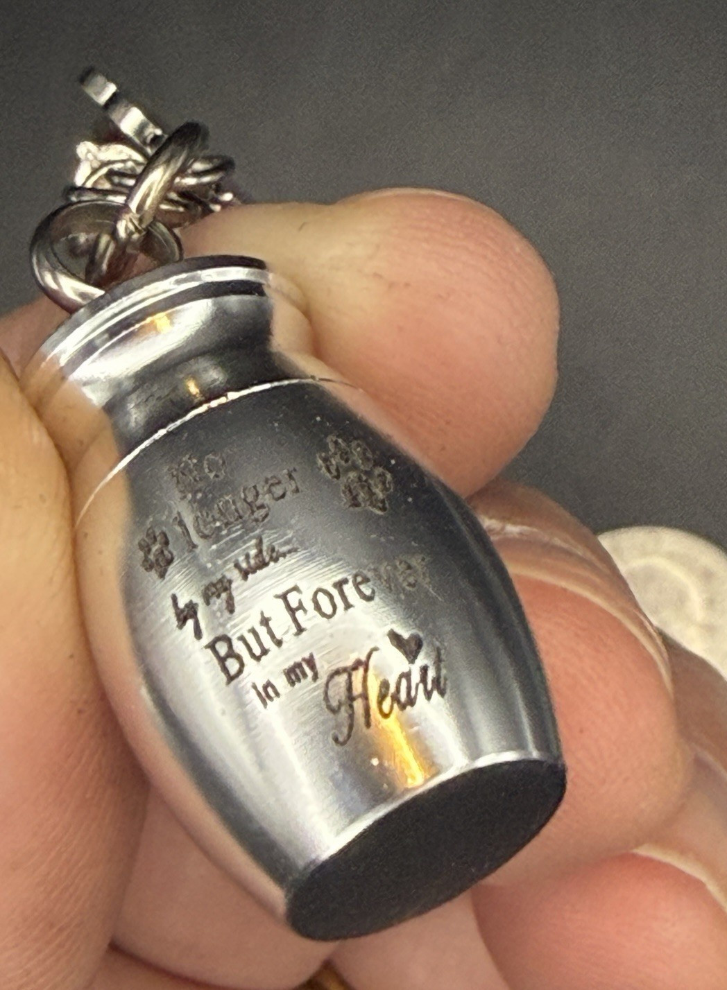 Dog Cat Pet Cremation Ashes Urn Key Chain Keepsake Paw Print Memorial Jewelry