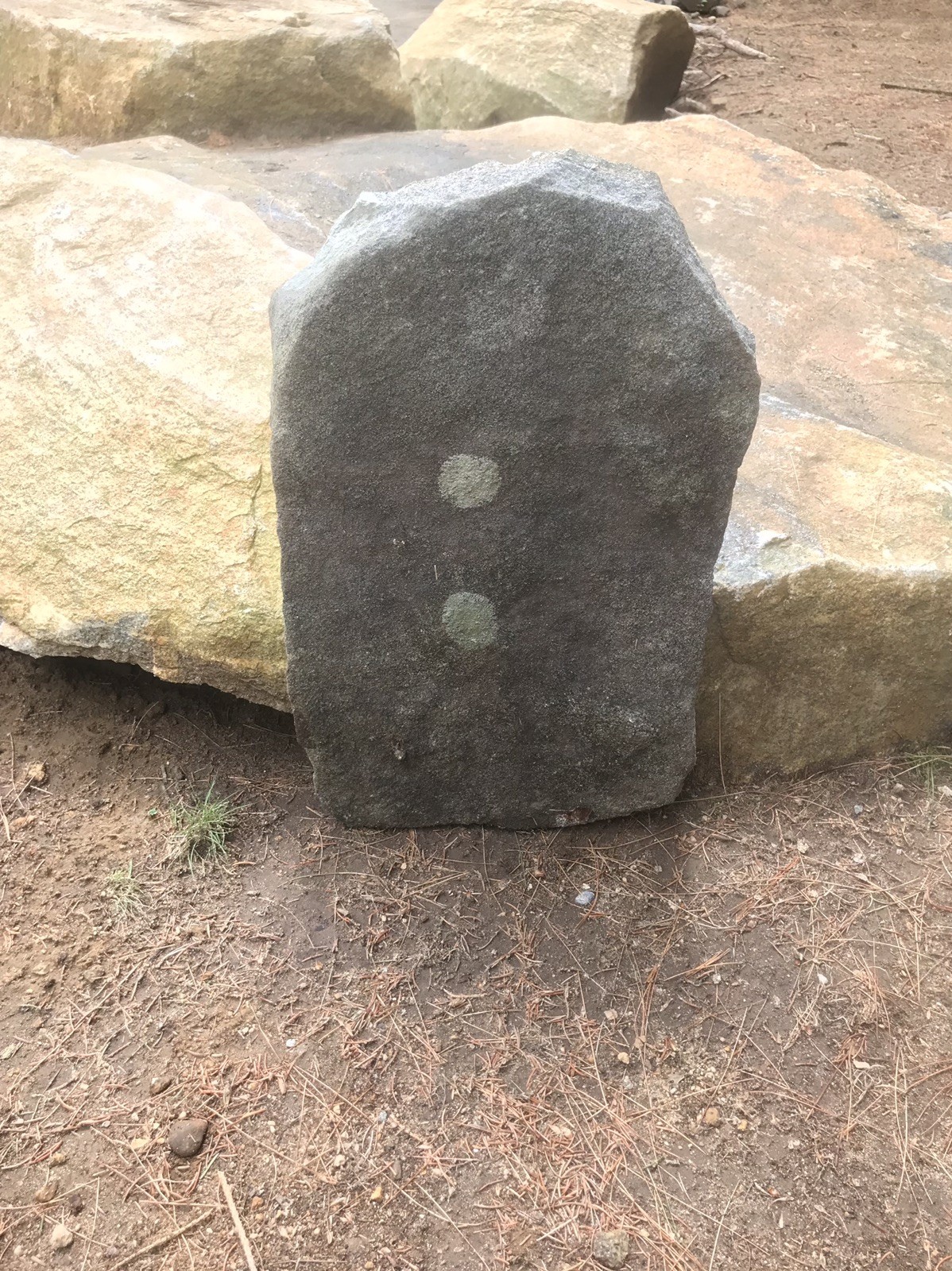 Natural Quartz Granite Stone Grave Marker Headstone Garden Pet Memorial Burial