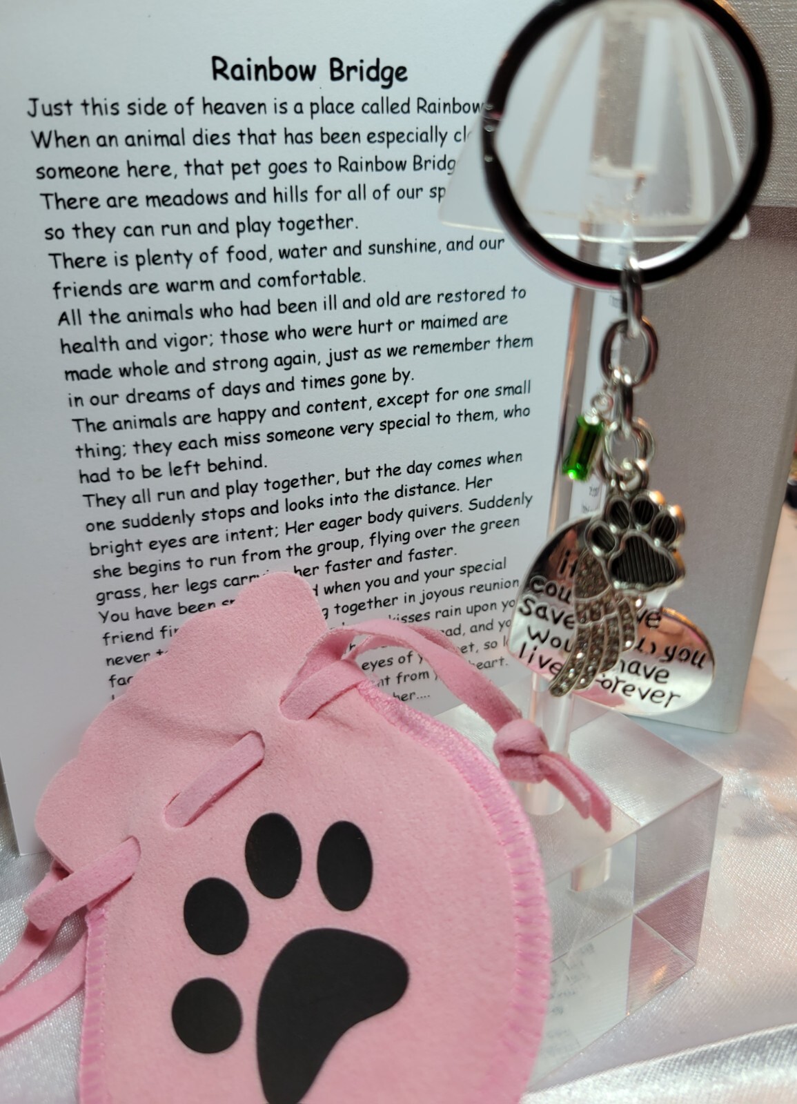 Loss of Pet Memorial Keychain Dog Cat Remembrance Jewelry Sympathy Key Ring Tag