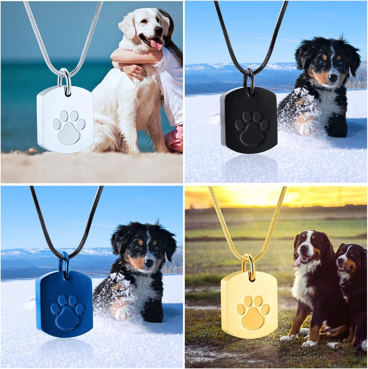 Pet Cremation Jewelry Urn Necklace Stainless Steel Keepsake for Ashes