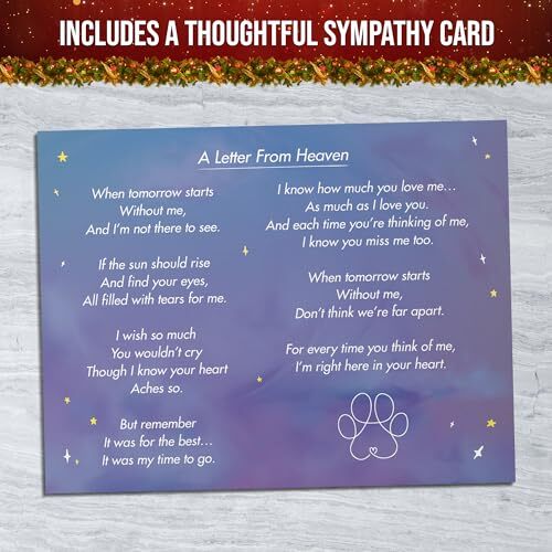 Rainbow Bridge Dog Memorial Gifts Cat Memorial Gifts – I’ll Meet You at The R…