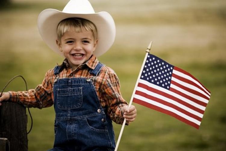 12-Pack 12×18″ American Stick Flags – Made in USA, Handheld with 30″ 12 Pack