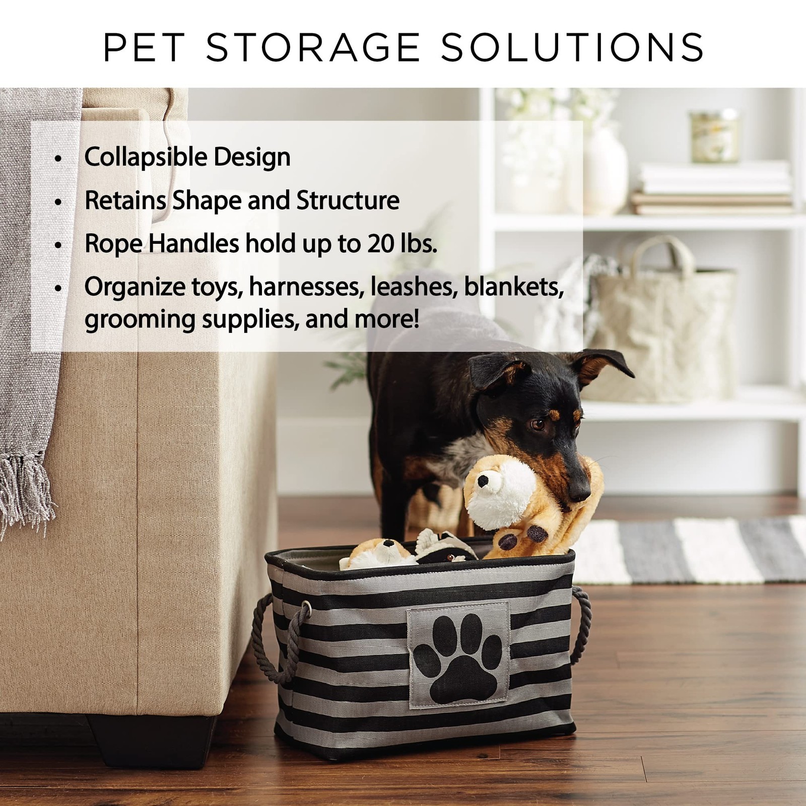Bone Dry Pet Storage Collection Paw and Bone Print, Medium Rectangle, 16x10x1…