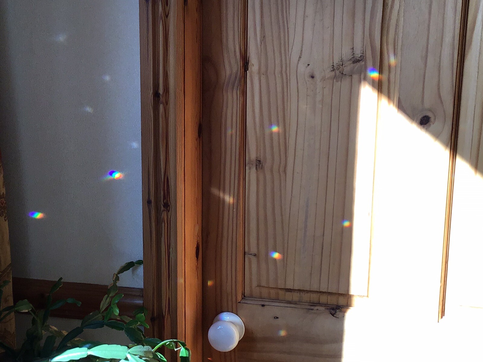 Pet Memorial Loss Sun Catcher In Memory Rainbow 🌈Bridge Poem Friend Gift