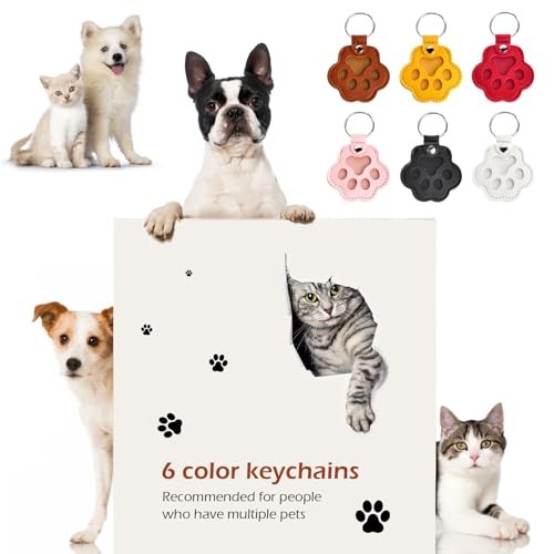 Pcs Pet Hair Keychain, Pet Paw Print Leather Keychain, Pet 6 Pet Fur Keepsake