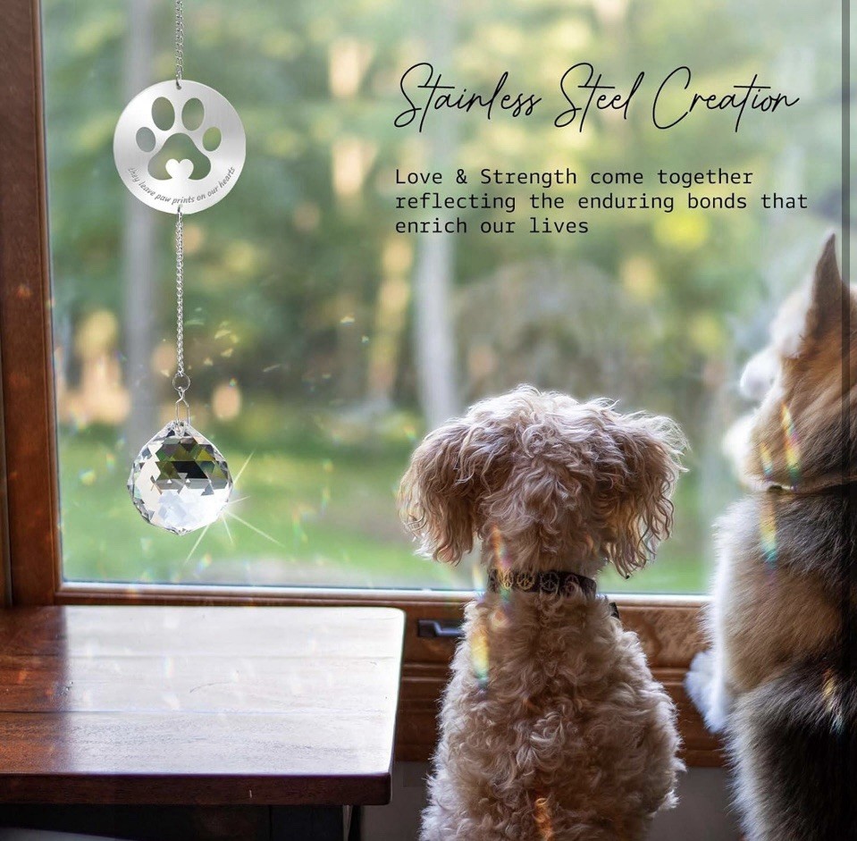 Dog Memorial Gifts, Unique Loss of Pet Sympathy Idea, Clear Crystal Ball Rainbow
