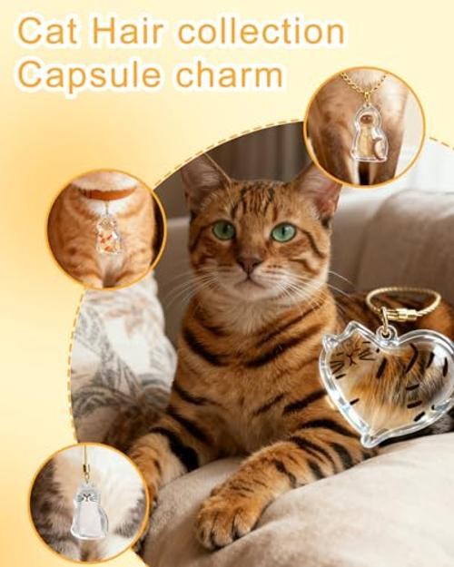 Cat Hair Holder Keychain | Hair Storage Bottle | Pet Fur Keepsake-Hold Fur &