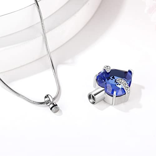 Cremation Jewelry for Ashes for Dog Cat Waterproof Pet Memorial Urn ZMBF-D Blue