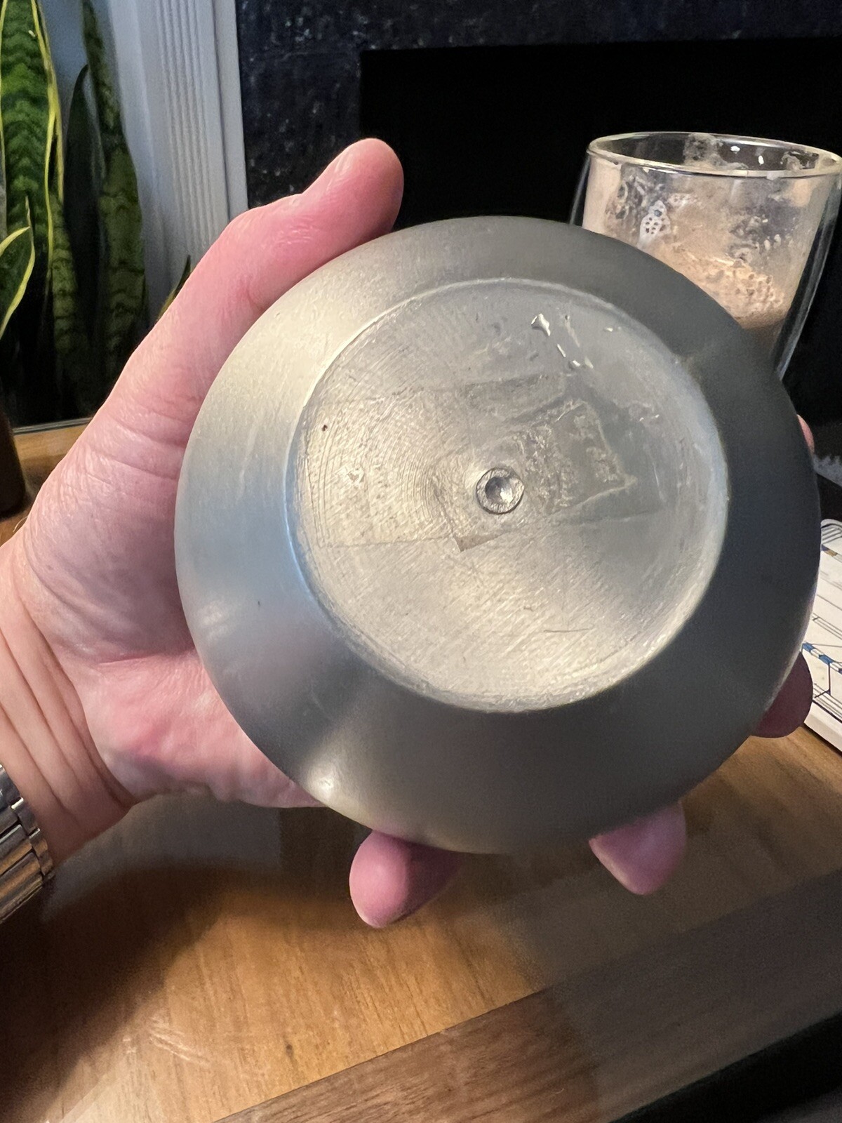Dog Cremation Urn for Dogs and Cats — Brushed