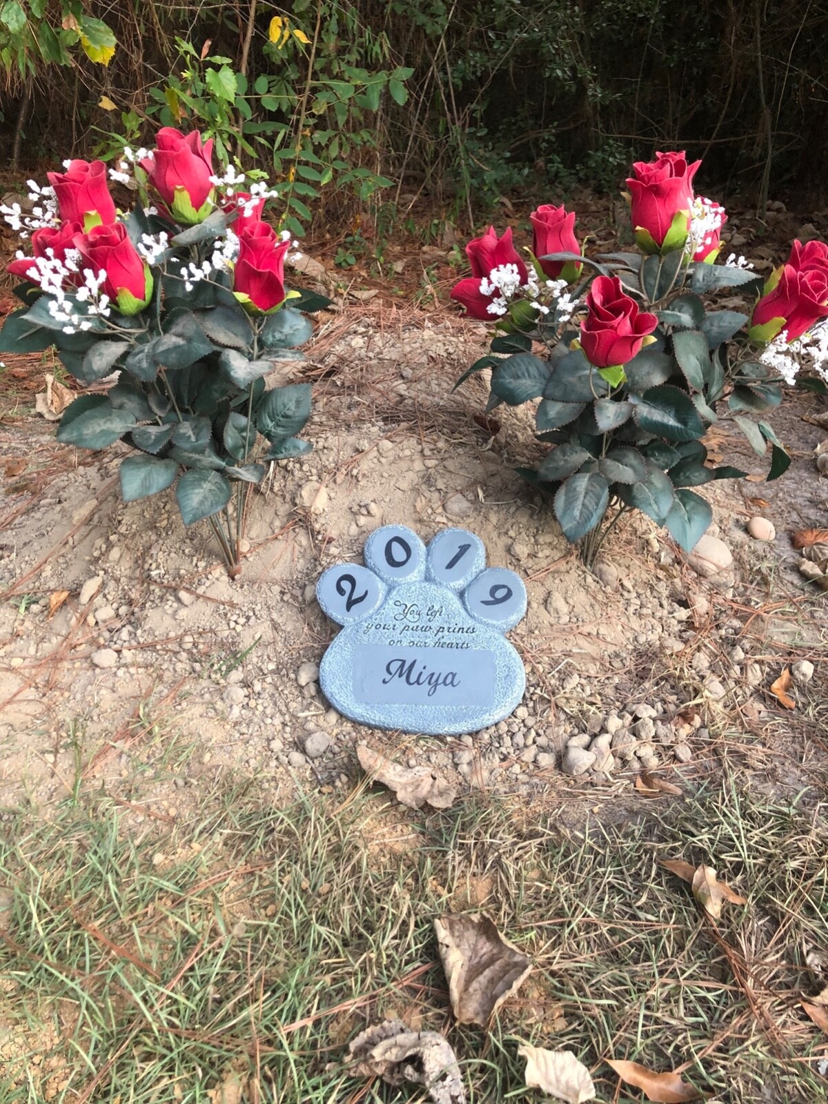 Pet Memorial Garden Stone Personalized NAME YEAR Dog Cat Paw Print Grave Marker