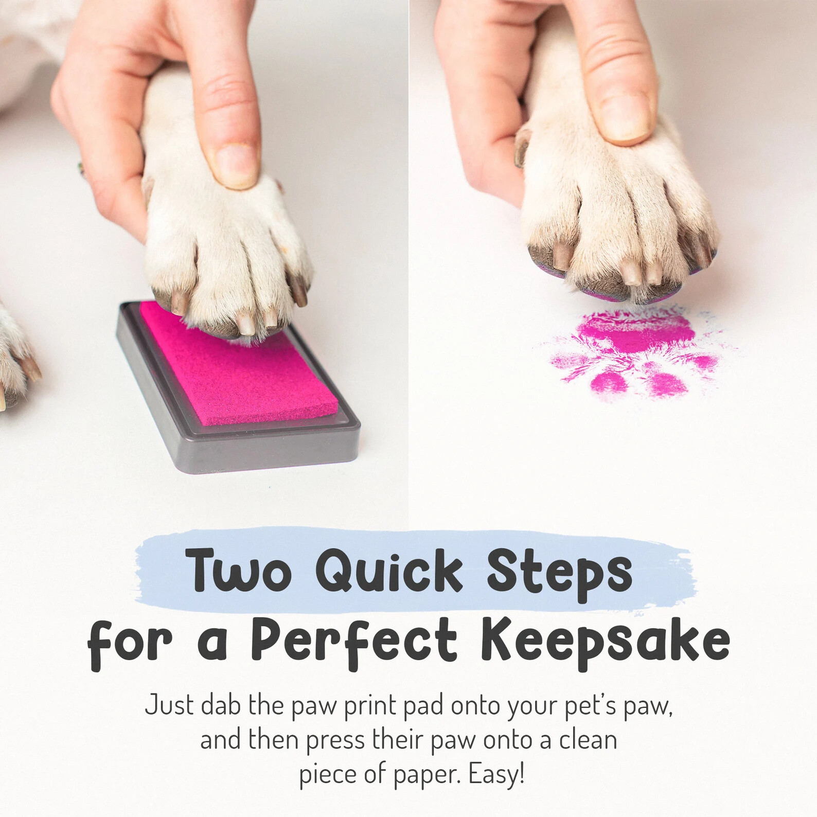 Pet Paw Print Kit – Paw Print Pad – Non Toxic Ink Pad for Pets – Cats and Dogs