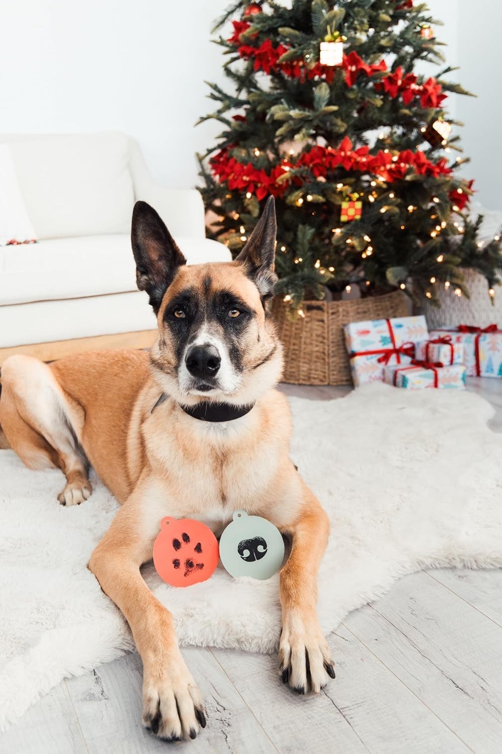 Mess-Free Pet Paw Impression Kit with Non-Toxic Ink Pad for Christmas
