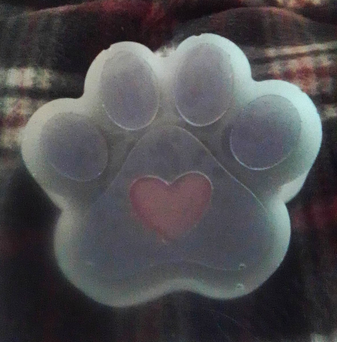 Paw Print Pet Memorial