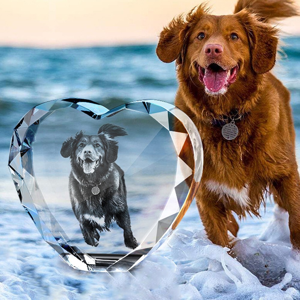 Personalised 3D PHOTO Crystal Valentines Gifts Custom Pet Dog Memorial Picture