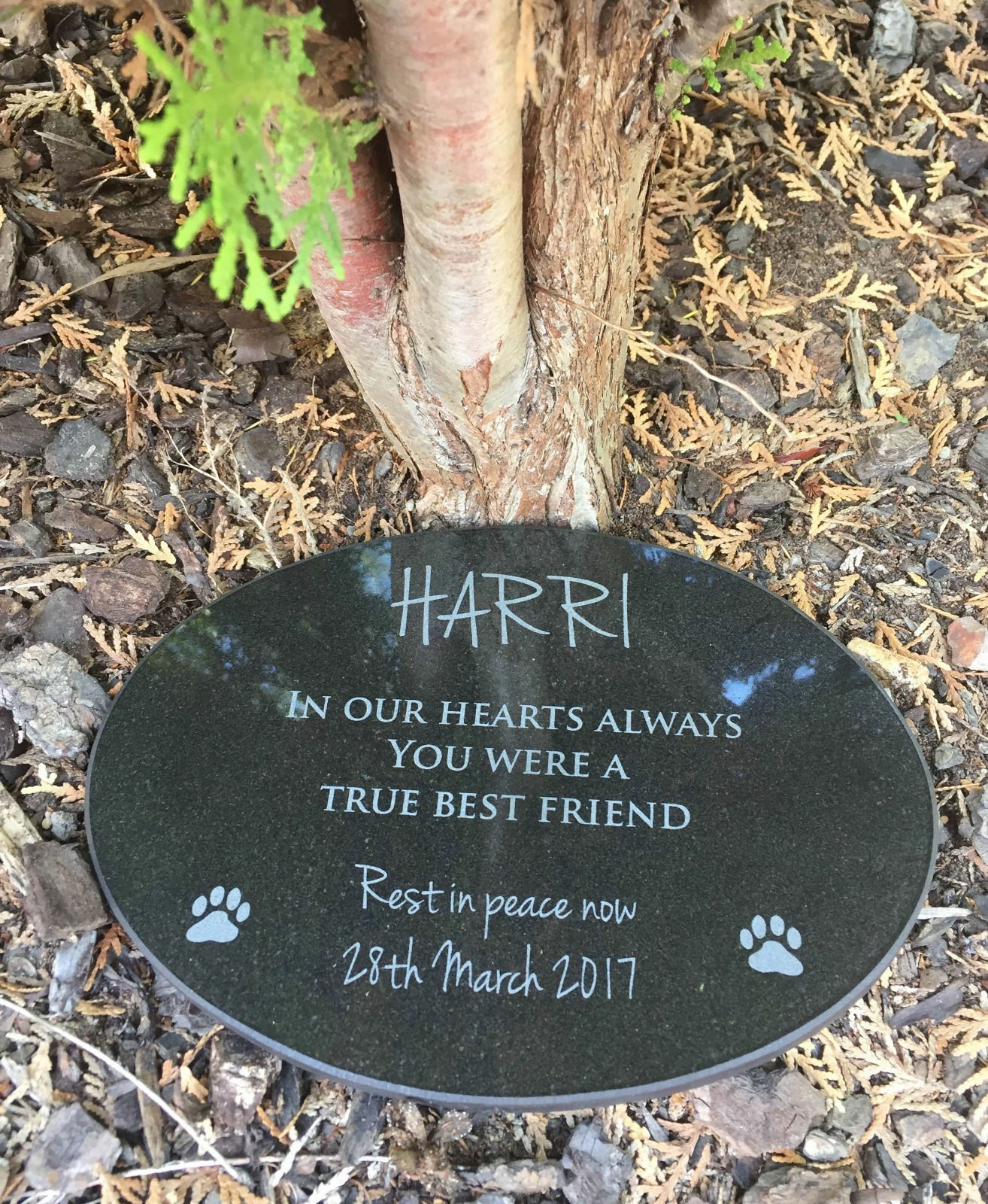Pet Memorial Granite Plaque Oval personalised engraved