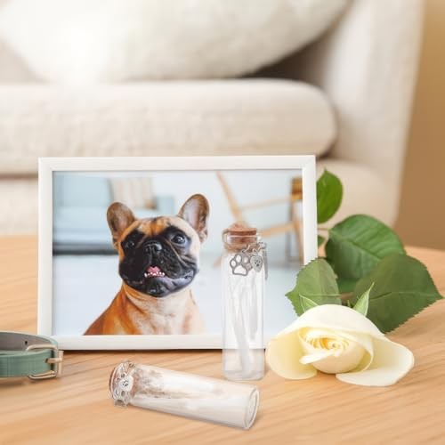 Pet Hair Memorial Bottle – Mini Transparent Keepsake with Heart – 2 Pcs