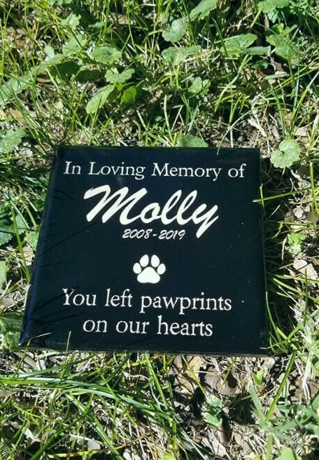 Pet Memorial for Cat & Dog Memorial Stone | Pet Loss Stone Gift Plaque