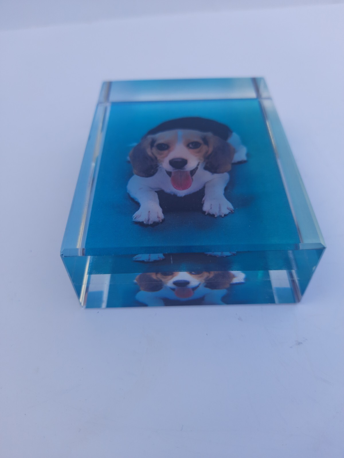 crystal,Personalized Sympathy Tribute Gift Customized For Lost of a Dog