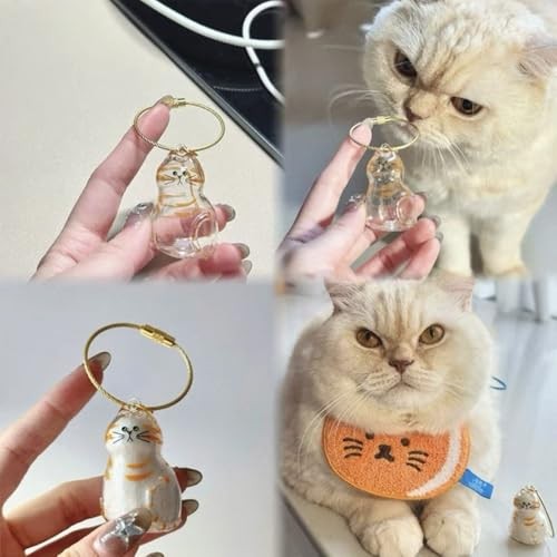 Cat Hair Storage Keychain – Memorial Gift for Pet Lovers, Transparent Cat F