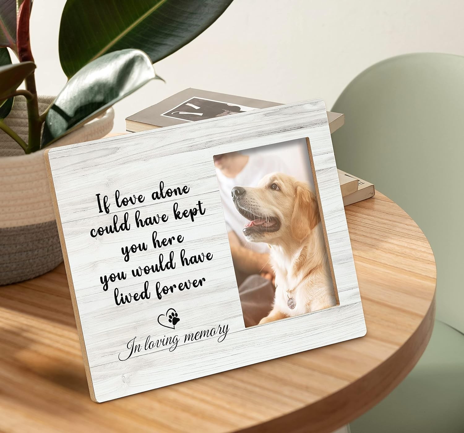 1 Pet Memorial Picture Frame for Loss of Dog or Cat Fits 6 X 4 Inch Photo