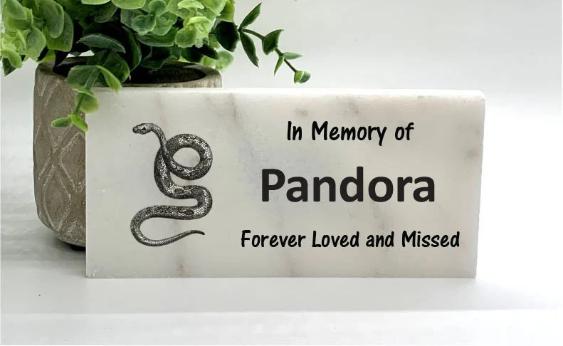 Snake Memorial – Personalized Pet Memorial Stone – Snake Loss sympathy Gift