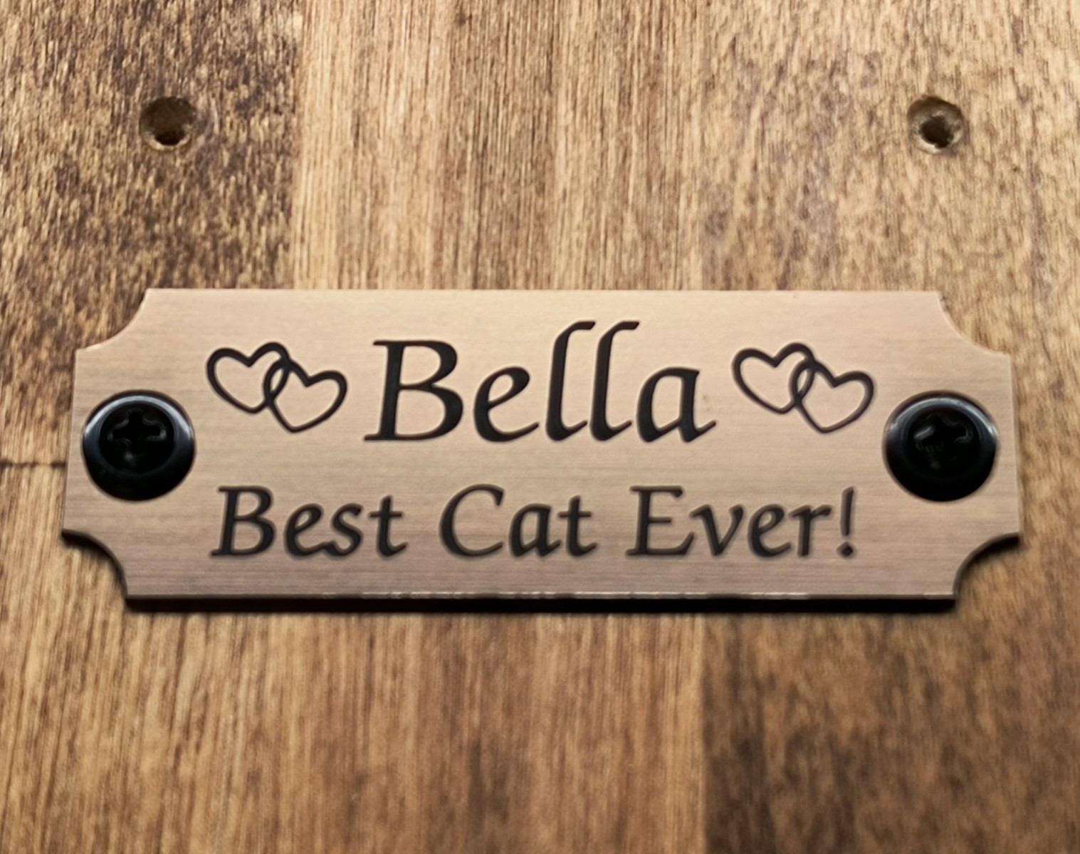 Custom Engraved Brushed Bronze Pet Memorial Urn Plaque Plate Cat Dog + 2 Screws