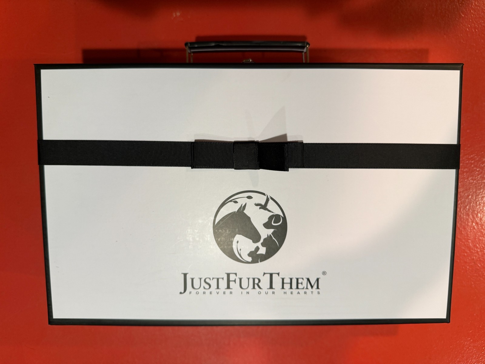 Pet Memorial Urn Photo Frame Dog Cat Ashes Remembrance Stone Just Fur Them Grave