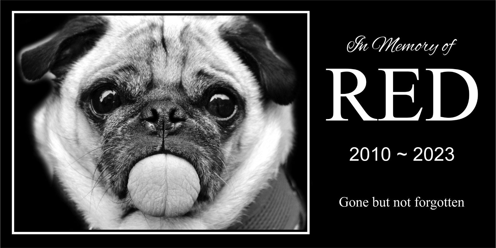 Personalized Pet Stone Memorial Grave Marker Granite Plaque Human headstone cat