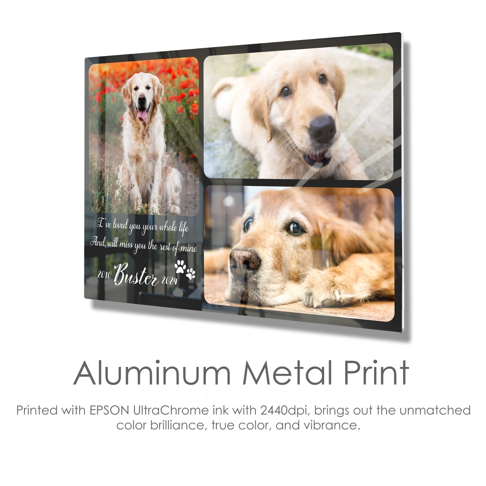 Personalized Pet Memorial Gifts with Photo of your Dog, Cat Custom Metal Print