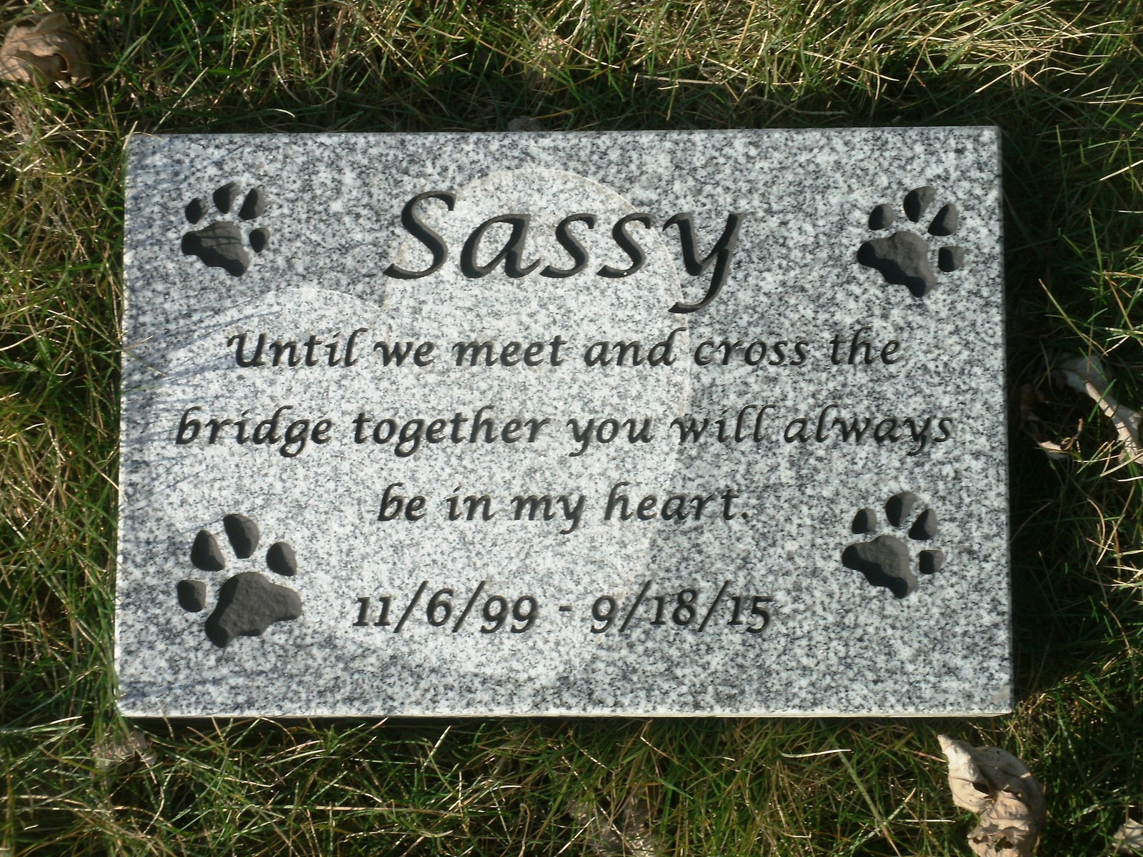 Pet memorial stone 12 x 8″ custom engraved 100% granite free shipping