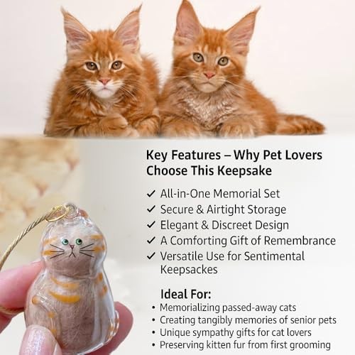 Cat Hair Storage Keychain – Memorial Gift for Pet Lovers, Transparent Cat F