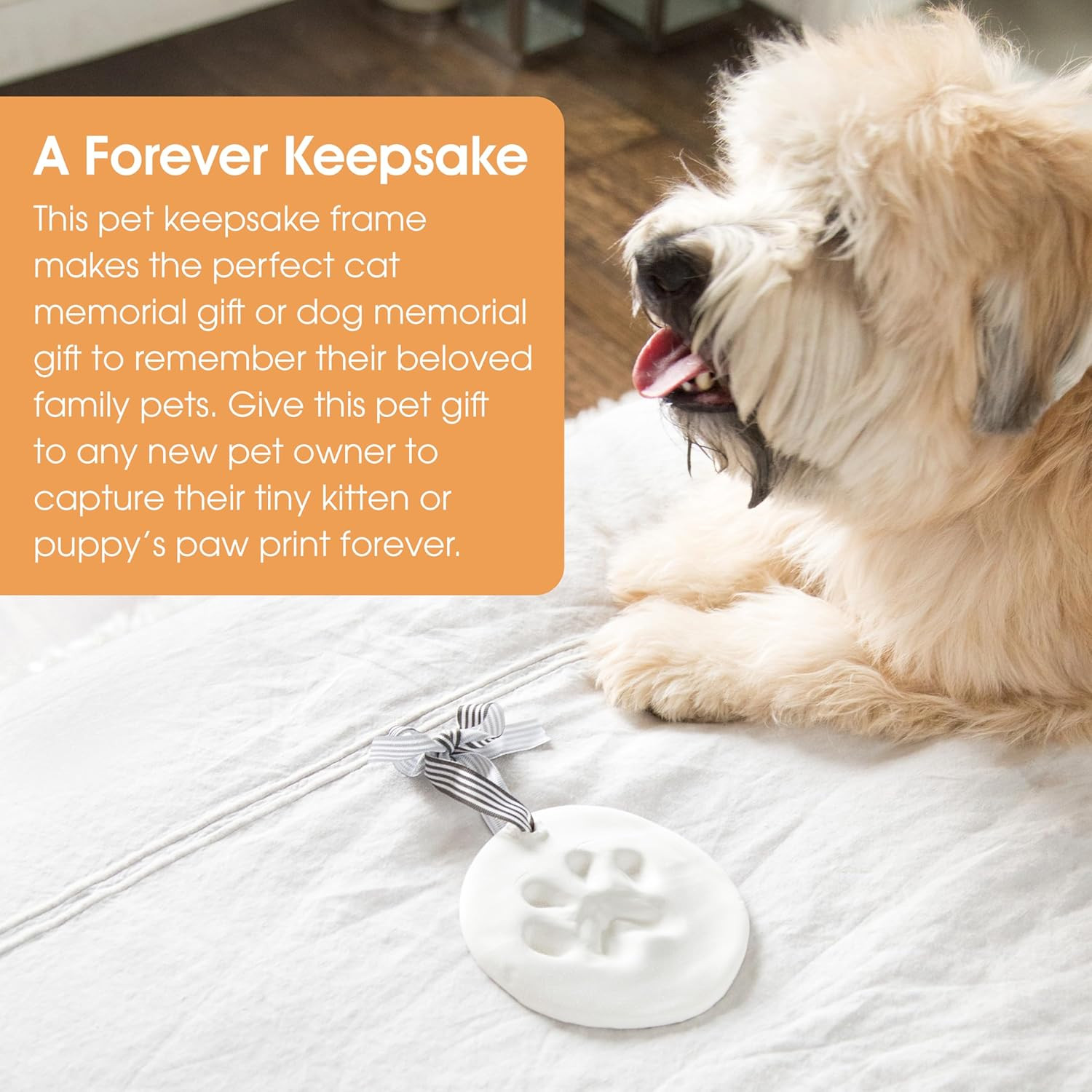 Pet Paw Print Keepsake Ornament Kit, Memorial Clay Paw Impression for Dogs & Cat