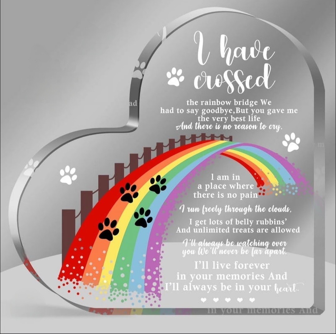 Pet Memorial_I Crossed Rainbow Bridge_Poem Acrylic Plaque Sympathy Gift (B2_🖤)