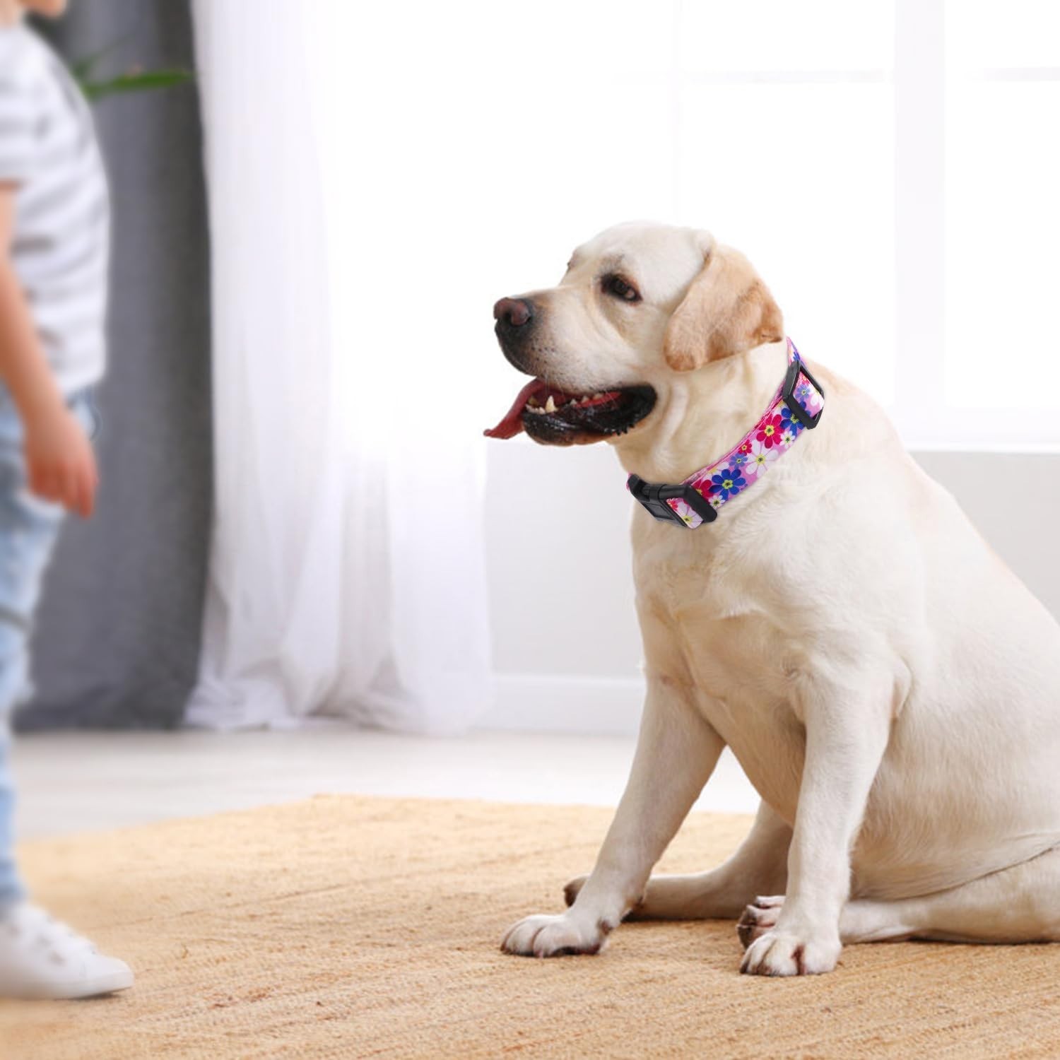 Dog Martingale Collar with Quick Release Buckle, Adjustable Soft Escape Proof…